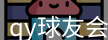 qy球友会